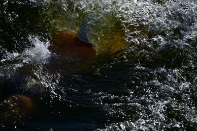 sailfish Swim Training