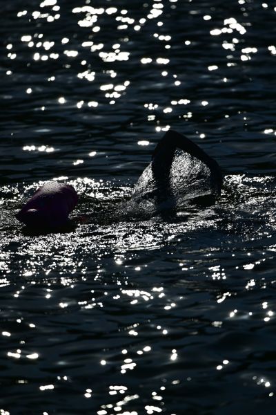 sailfish Swim Training