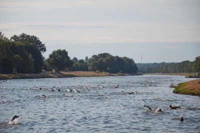 DATEV CHALLENGE ROTH 2025 ZONE3 Swim Training