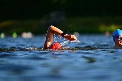 sailfish Swim Training