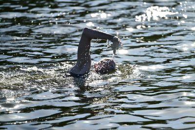 sailfish Swim Training