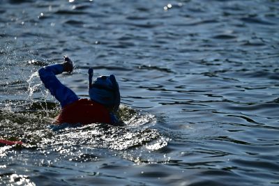 sailfish Swim Training